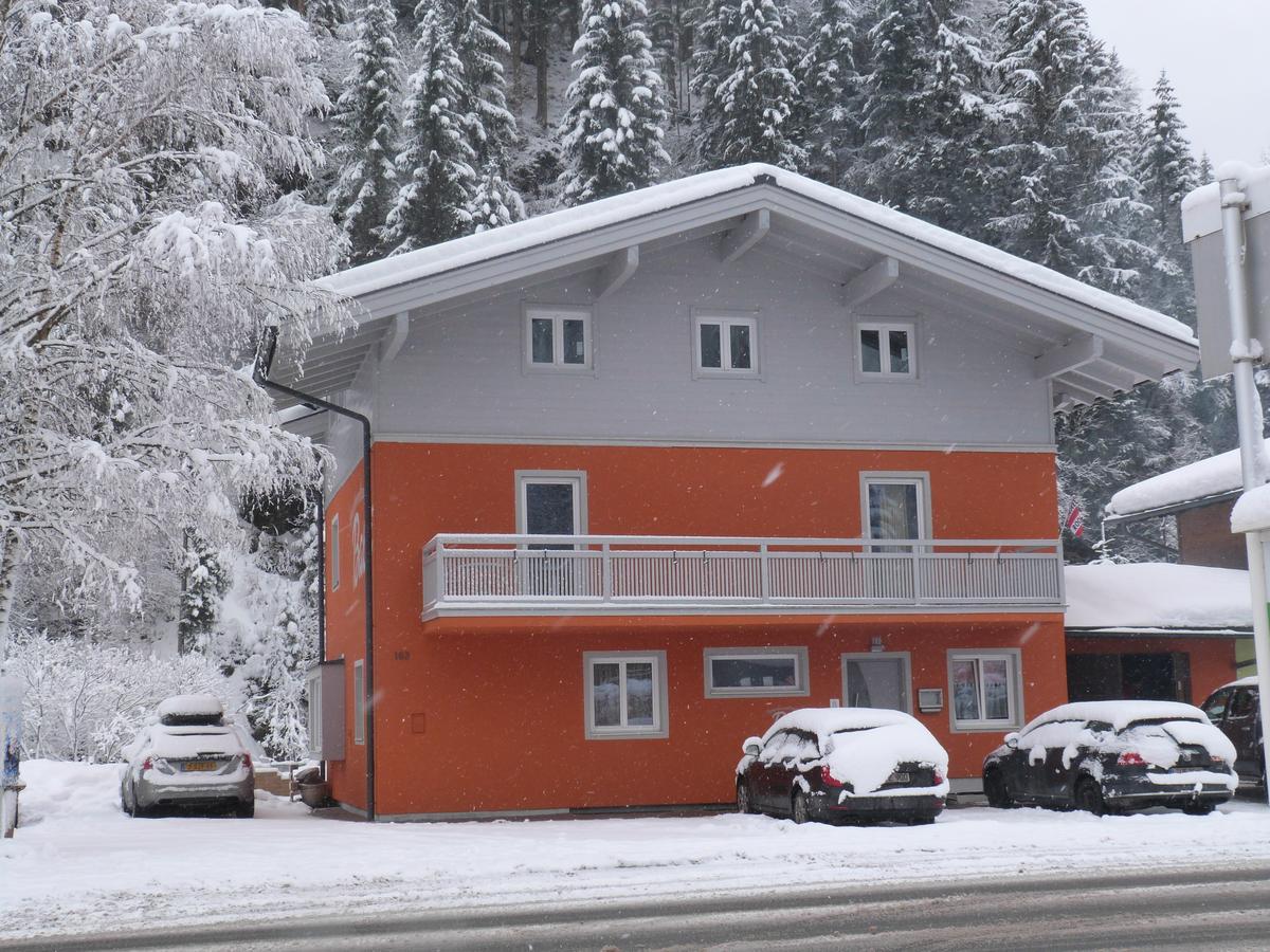 Alpen Appartements Viehhofen - Incl Sommercard Zell Am See Viehhofen Exterior foto