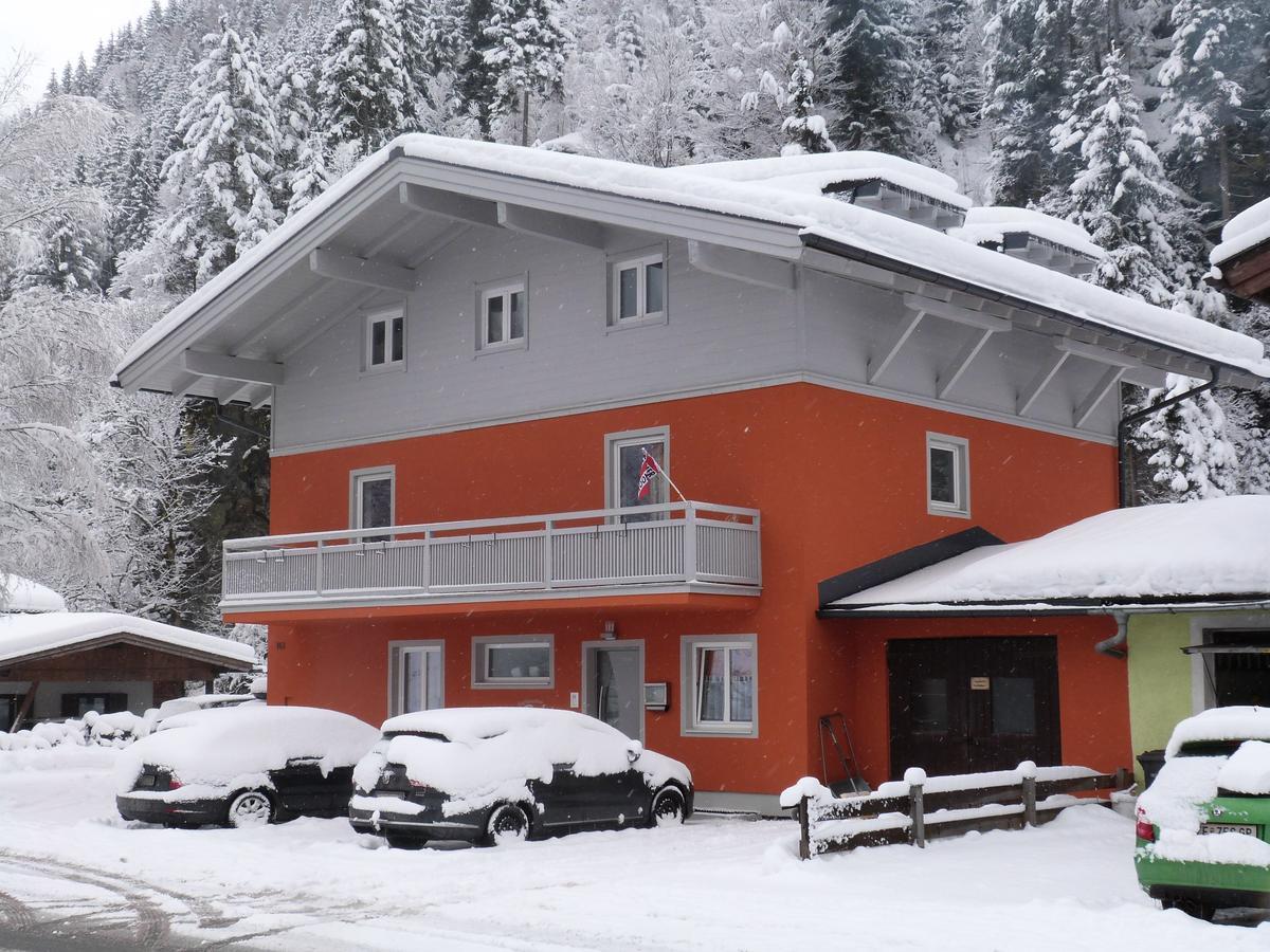 Alpen Appartements Viehhofen - Incl Sommercard Zell Am See Viehhofen Exterior foto