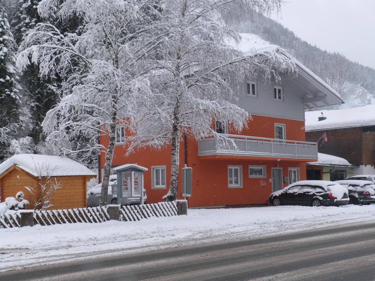Alpen Appartements Viehhofen - Incl Sommercard Zell Am See Viehhofen Exterior foto